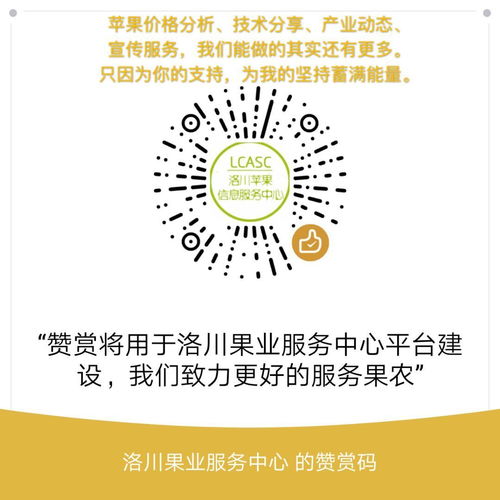 苹果树冬剪落头窍门多 数字化思维助力精准修剪